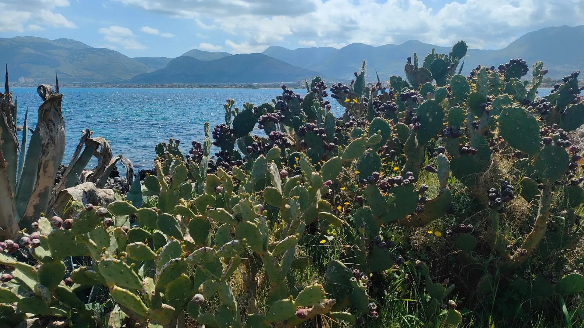 Casa vacanze Villa L'isola di Fimi Isola delle Femmine