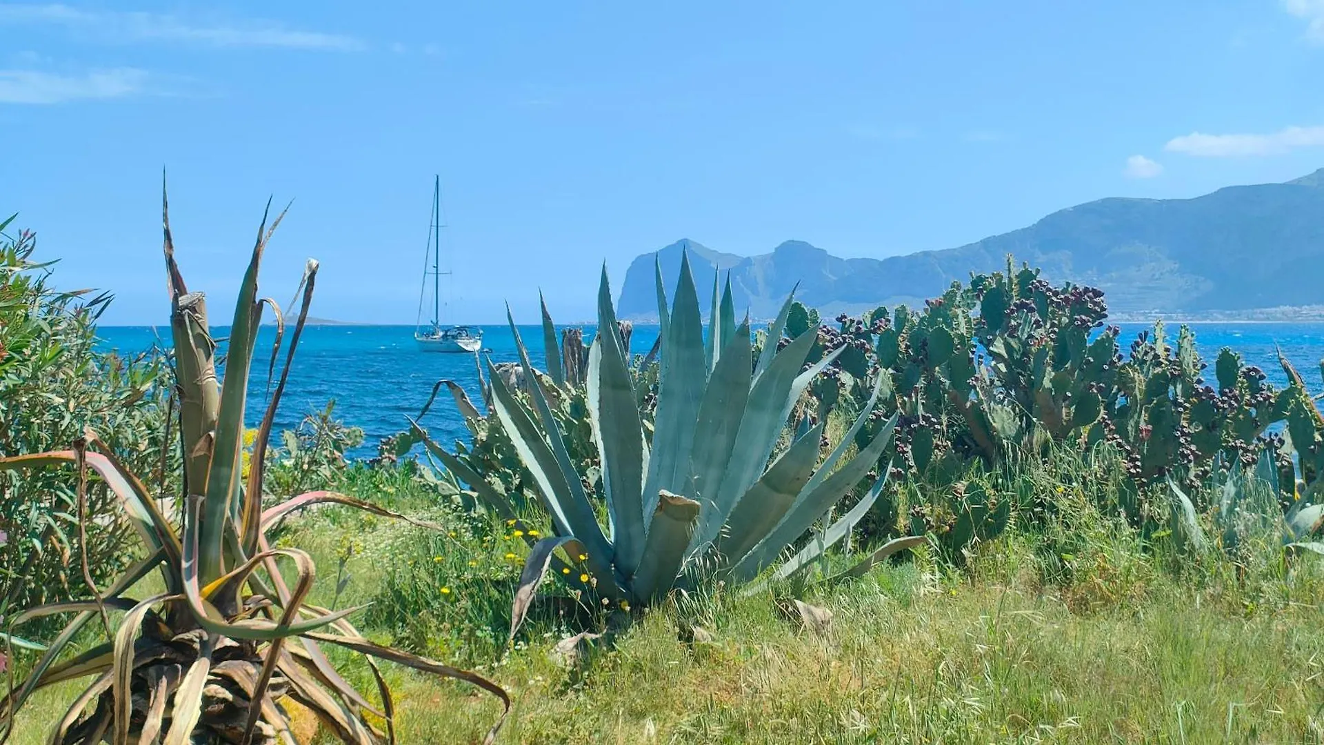 Villa L'isola di Fimi Isola delle Femmine Italia